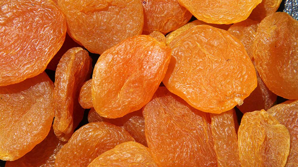 Beckner Farms Dried Turkish Apricots