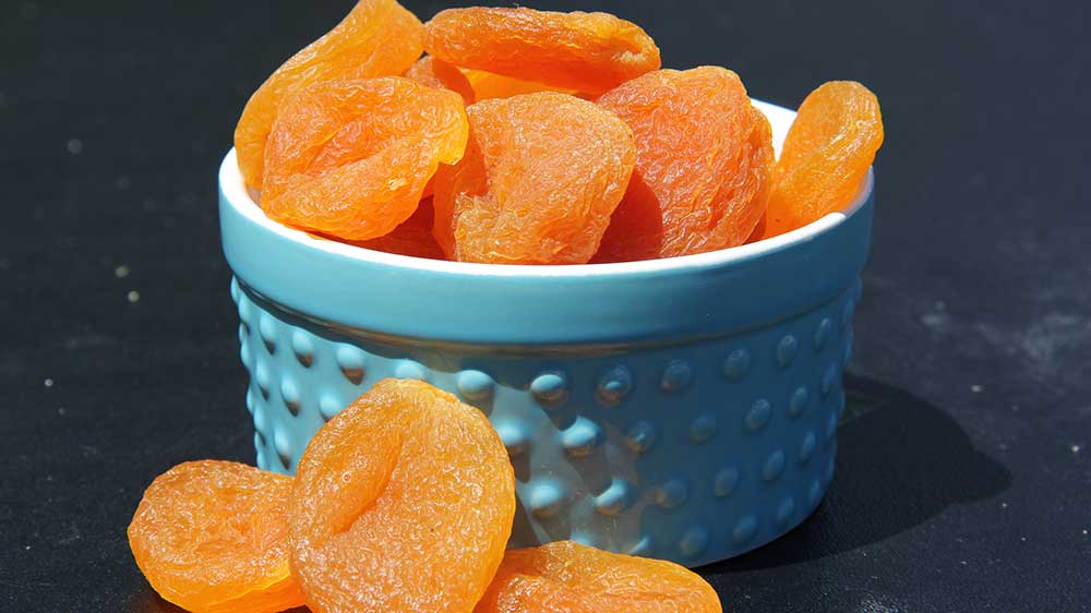 Beckner Farms Dried Turkish Apricots